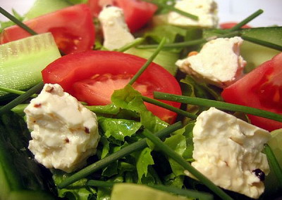 Vegetarian Diet